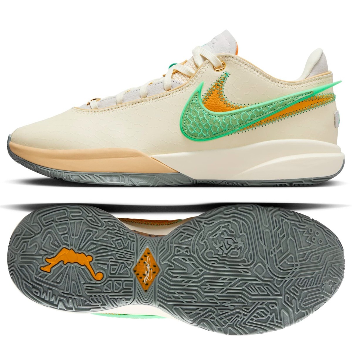 lebron two different shoes