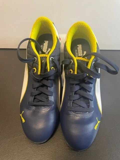 Chaussure ferrari shop bleu