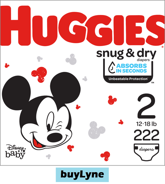 Huggies 51521 Snug Dry Baby Diapers Size 2 222 Ct One Month Supply For Sale Online Ebay
