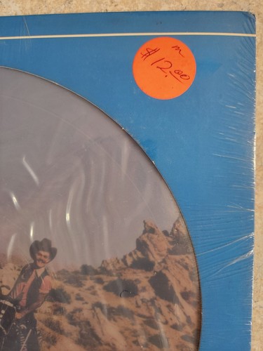 Village People Cruisin Vinyl LP Record Picture Disc Casablanca 1978 - Picture 4 of 12