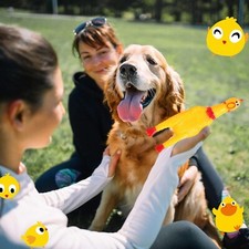 50 Pack Rubber Chicken Screaming Chicken Dog Toys Squeaky Chicken Squeeze