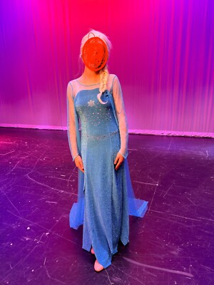 Frozen's Elsa Adult Woman Costume Cosplay Excellent condition