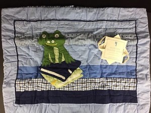 Pottery Barn Kids Morgan Frog Quilted Standard Sham New Blue Books