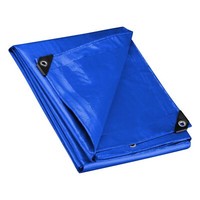 Wiltec Abdeckplane Wetterfest Blau 5X8M Pe Plane Mit ÖSen 240G/M² Gartenplane