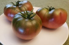 Black Krim Tomato 30 seeds - Free Shipping - very productive