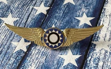 Scarce WWII AVG Flying Tiger Pilot Reunion Wing Wings ~ Excellent Condition