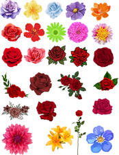 FLOWERS ROSES Temporary Tattoos - FULL SHEET Sports Birthday Party Supplies