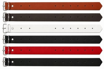 Befestigungsriemen Lederriemen Schnallenriemen 2,5 cm x 60,0 cm in 6 Farben LWPH