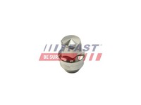 Radmutter Fast FT21601 Stahl FüR Ford Transit V363 FCD FDD FED FFD Bus FAD FBD