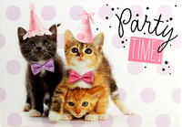 Einladung Party Time Geburtstag Feier Katzen Einladungskarten Karte Mit Text
