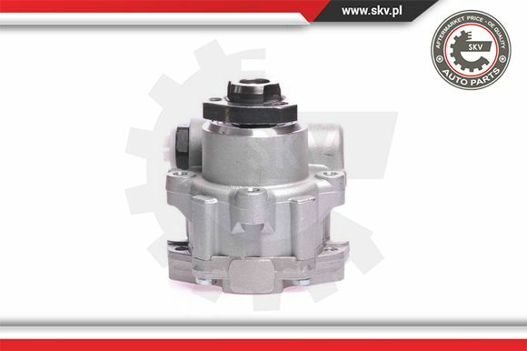 Esen SKV Servopumpe FüR VW Transporter IV Bus 70XB 70XC 7DB 7DW 70B 70C 10SKV121-image
