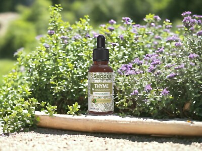 Thyme Tincture - Immune System (Alcohol Free)
