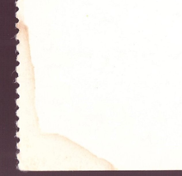Picture 5 of 5