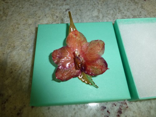Phalaenopsis Real Phal Orchid Preserved Flower 14K Gold Plated Hair Clip - Picture 10 of 11