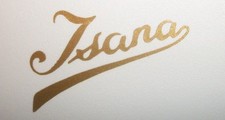  2 isana neck/body decals, gold self adhesive vinyl