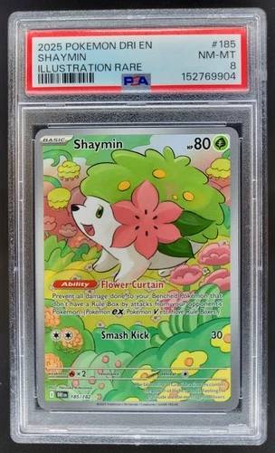2025 Pokemon Destined Rivals Shaymin Illustration Rare #185/182 PSA 8 BB12