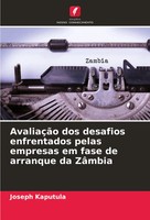 Joseph Kaputula | AvaliaçãO Dos Desafios Enfrentados Pelas Empresas Em Fase...