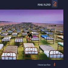 PINK FLOYD A Momentary Lapse of Reason BANNER HUGE 4X4 Ft Fabric Poster Flag art