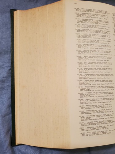 AQHA Official Stud Book & Registry Number 22 1968 Used Condition! - 第 8/11 張圖片