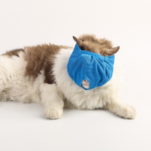 Atmungsaktives Netz Katzen maulkorb Katzen pflege maske Wache Maulkorb Katze