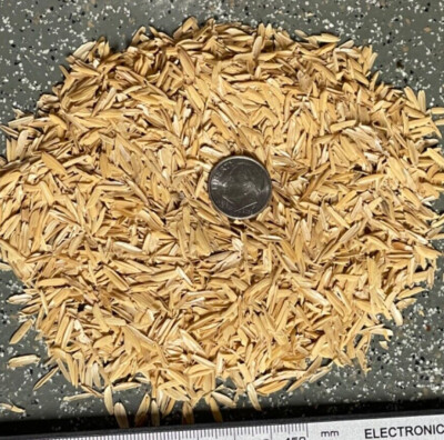 2 Full gallon Bags Rice Husk Hulls Growing Medium Amendment Top Dress 32oz. USA 