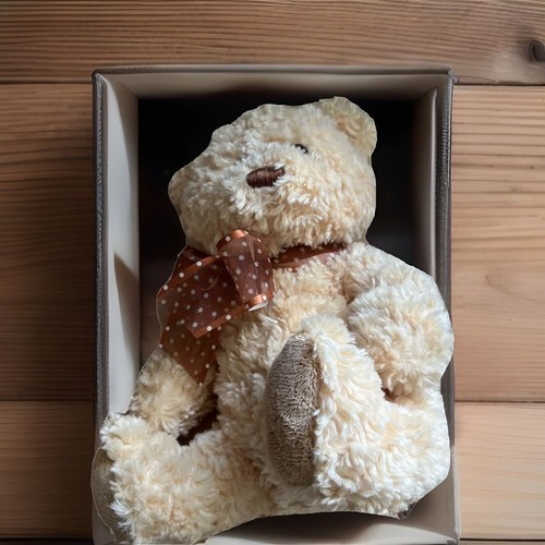 Ty Silk Plush Beanie Bear 2007 Small Brown Teddy - Picture 3 of 12