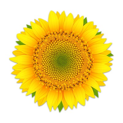 Bright Sunflower Sticker Yellow Car Vinyl Decal Sun Flower Window Bumper 