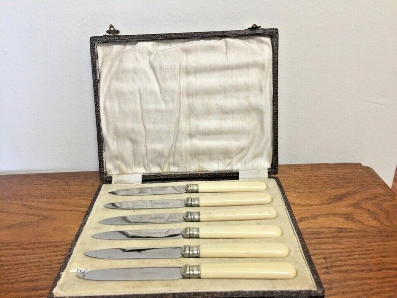 Vintage St. Steel 6 Dessert/Fruit Knife Set, in Faux Reptile Presentation Box 
