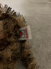 Bild 3 von 10