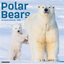 Polar Bears 12 X 12 Wall Calendar (Bookbook - Detail Unspecified)