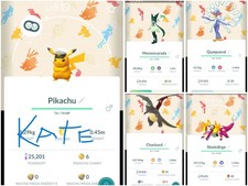 ✨Shiny Pikachu, Charizard, Meowscarada, Skeledirge, Quaquaval ✨Background✨- PTC
