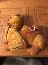 Jerusalem Stuffed Camel Decoration-Very Rare-SHIPS N 24 HOURS