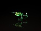 Foto 5 di 5