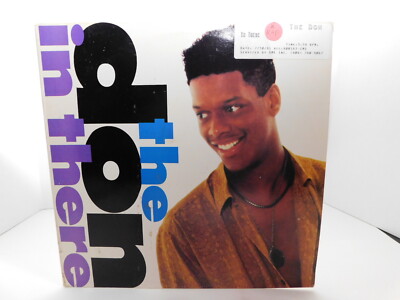 The Don   In There 12'' Single 1991 Hip Hop RnB/Swing 44 73727
