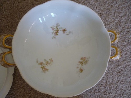 ANTIGUO HAVILAND LIMOGES TUREEN CON TAPA/ROSA FLORAL/ 1889-1931 - Imagen 5 de 9