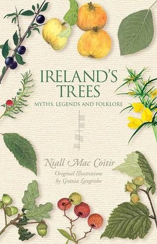 Ireland's Trees by Niall Mac Coitir - 9781848892484 - Image 3