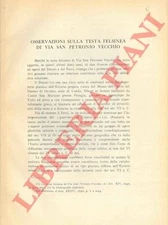 ZUFFA  - Osservazioni sulla testa felsinea di via San Petronio Vecchio.