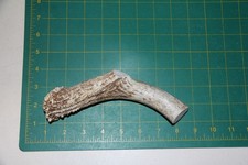 Large Straight Deer Antler Dog Chew 31 / bone chews deer elk treats deer 207