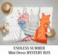 CURATED Summer Mini Dress Mystery Box - 5 Items L | Free People Anthro F21