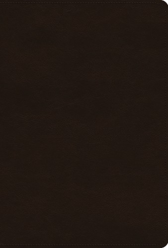 Женская учебная библия Mike Bullmore ESV (в кожаном переплете) (ИМПОРТ ИЗ Великобритании)