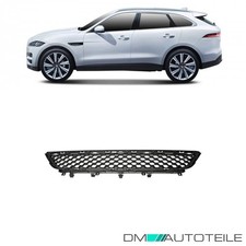 Stoßstangen Gitter Blende vorne mitte für Jaguar F-Pace X761 Baujahr ab 2016
