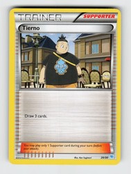 Tierno 20/30 XY Trainer Kit: Pikachu Libre & Suicune