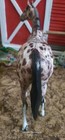 Bild 6 von 8