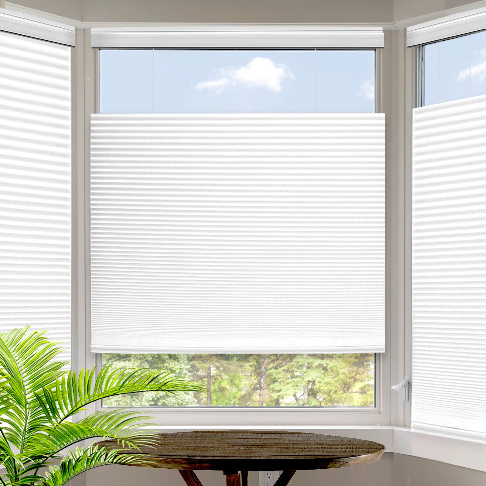 Top-Down Blinds Cellular Honeycomb Pleated Shade Cordless, W