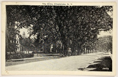 1943 The Elms Chadwicks NY Posted Linen Postcard New York