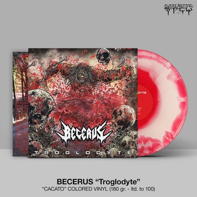 BECERUS - troglodyte LP cacato
