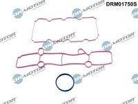 Dr.Motor Automotive Dichtungssatz, AnsaugkrüMmer DRM01750S FüR Ford