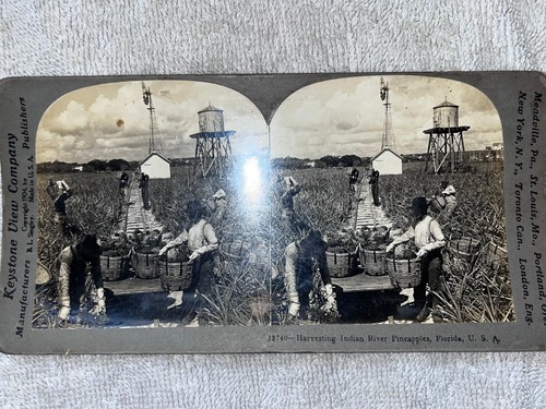 Antique Stereoptic Viewer w/cards - Picture 10 of 11