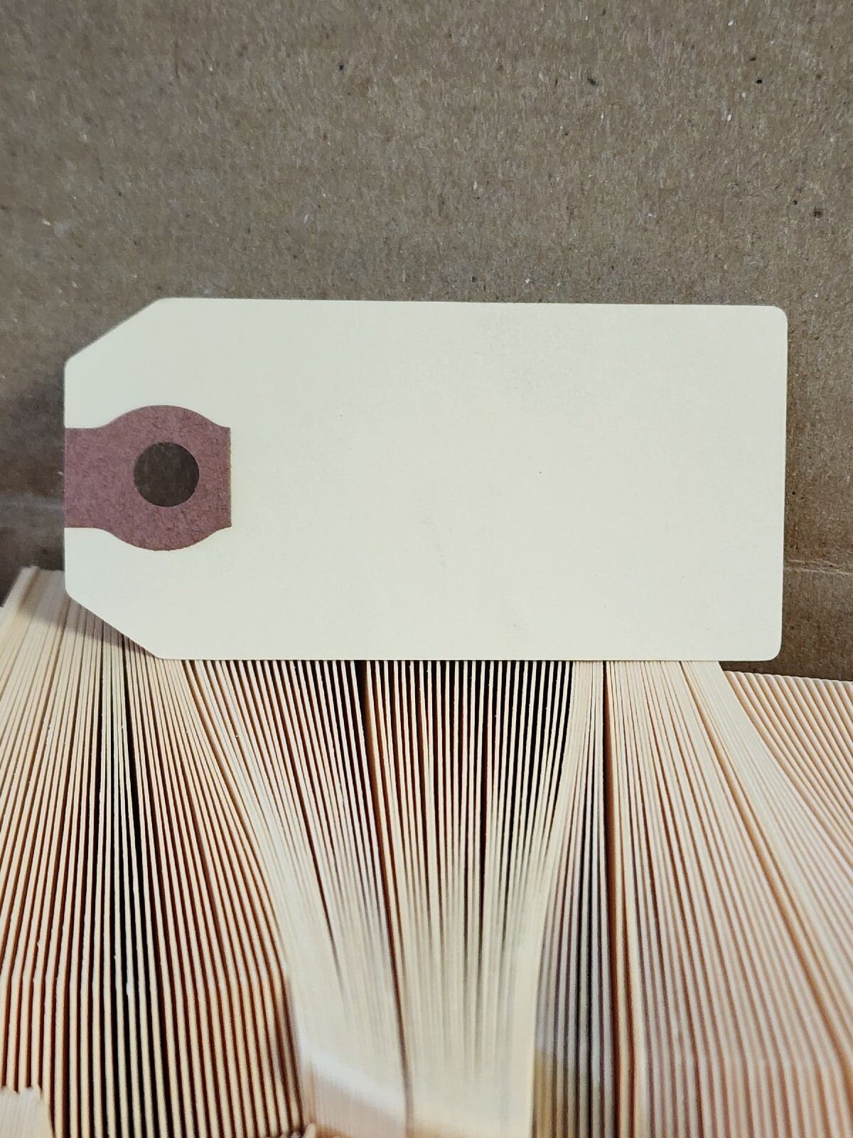 New! Staples Size 1 Manilla Hang Tags 2 3/4" x 1 3/8" 2 Boxes Of 1000