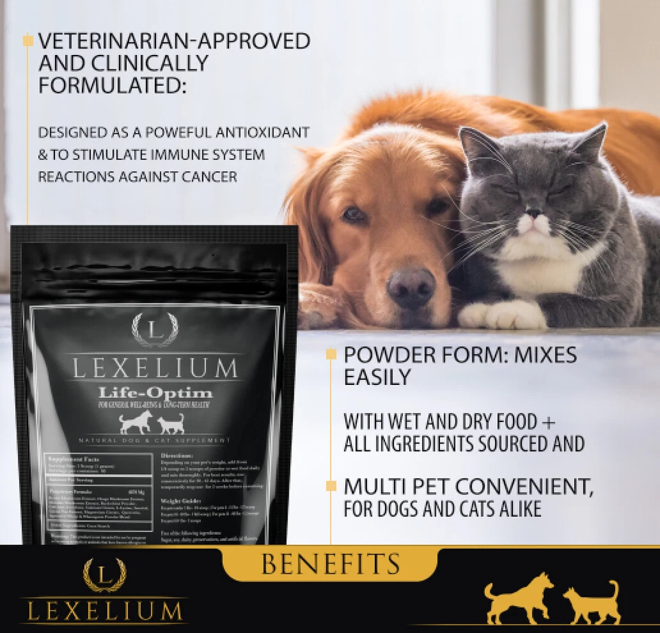 Apoyo contra el cáncer para perros y gatos | Diseñado para extender y mejorar la calidad de vida Foto 2 de 4